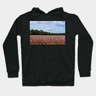 Field Of Cotton Balls Hoodie